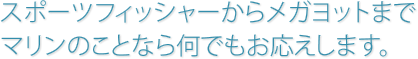 スポーツフィッシャーからメガヨットまでマリンのことなら何でもお応えします。